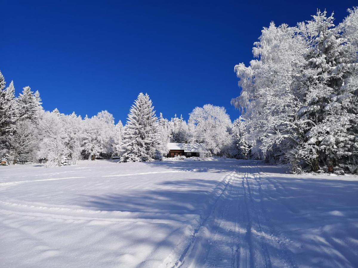 Chata Zákoutí Vítkovice Exterior foto